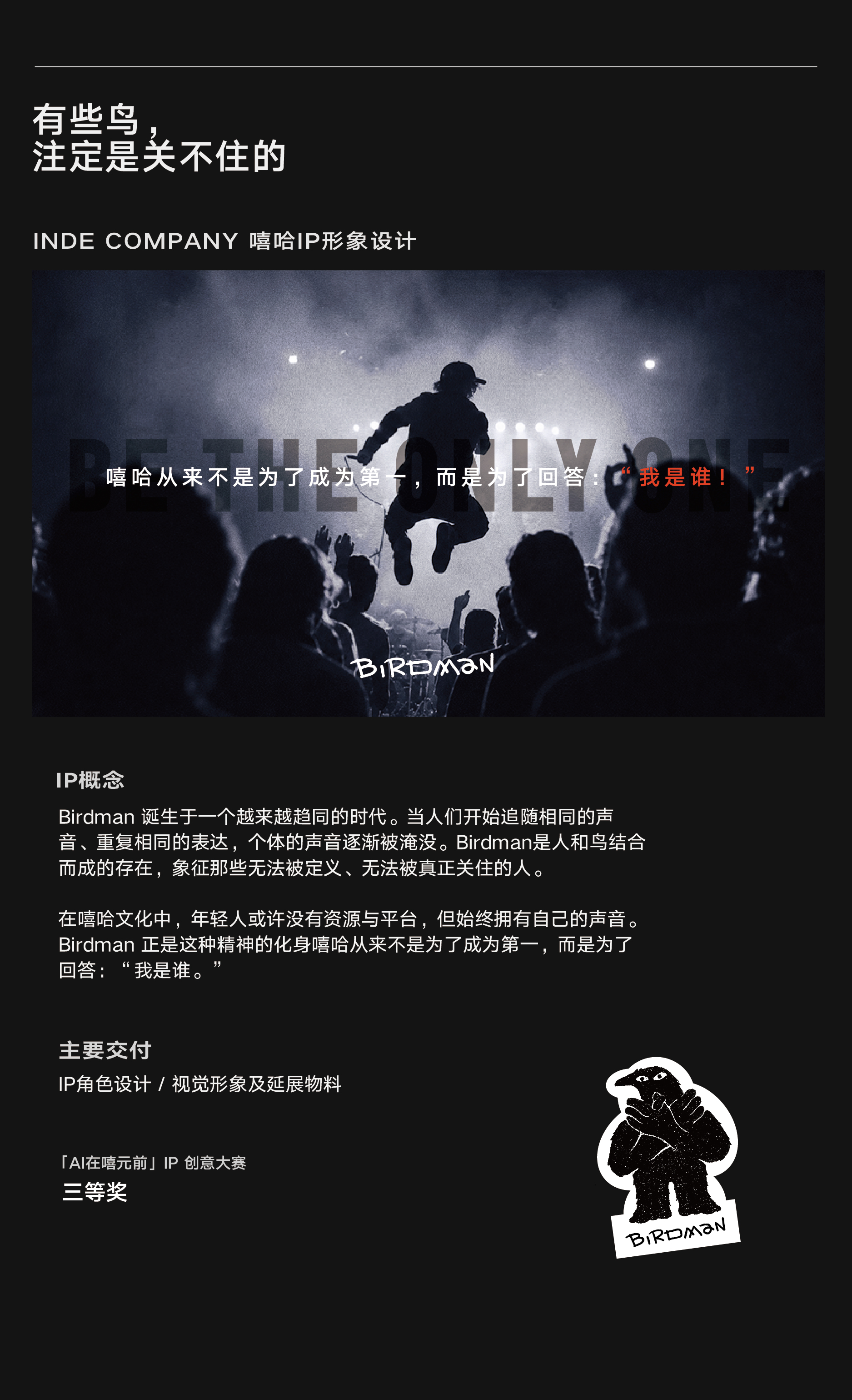 Birdman IP 形象设计项目介绍